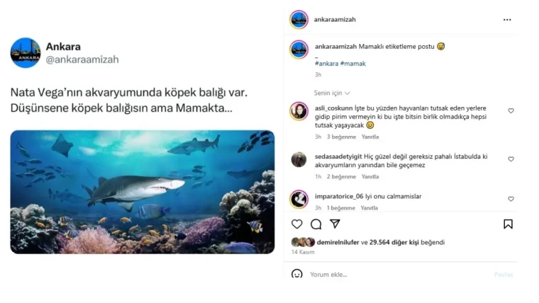 Instagram'da Ankara Paylaşımları İçinizi Isıtacak! İşte, Ankaralılara Özel Paylaşımlar 6